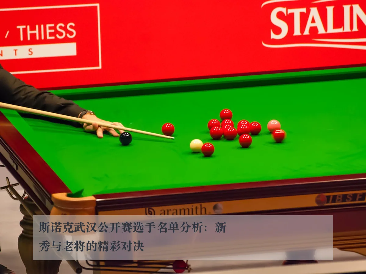 斯诺克武汉公开赛选手名单分析：新秀与老将的精彩对决